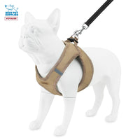 Voyager Step-in Plush Dog Harness – Soft Plush, Step in Vest Harness and Reflective Dog 5 ft Leash Combo with Neoprene Handle for Small and Medium Dogs by Best Pet Supplies -Set (Latte Suede), XS Harness Leash Set (Latte Suede) XS (Chest: 13 - 14.5