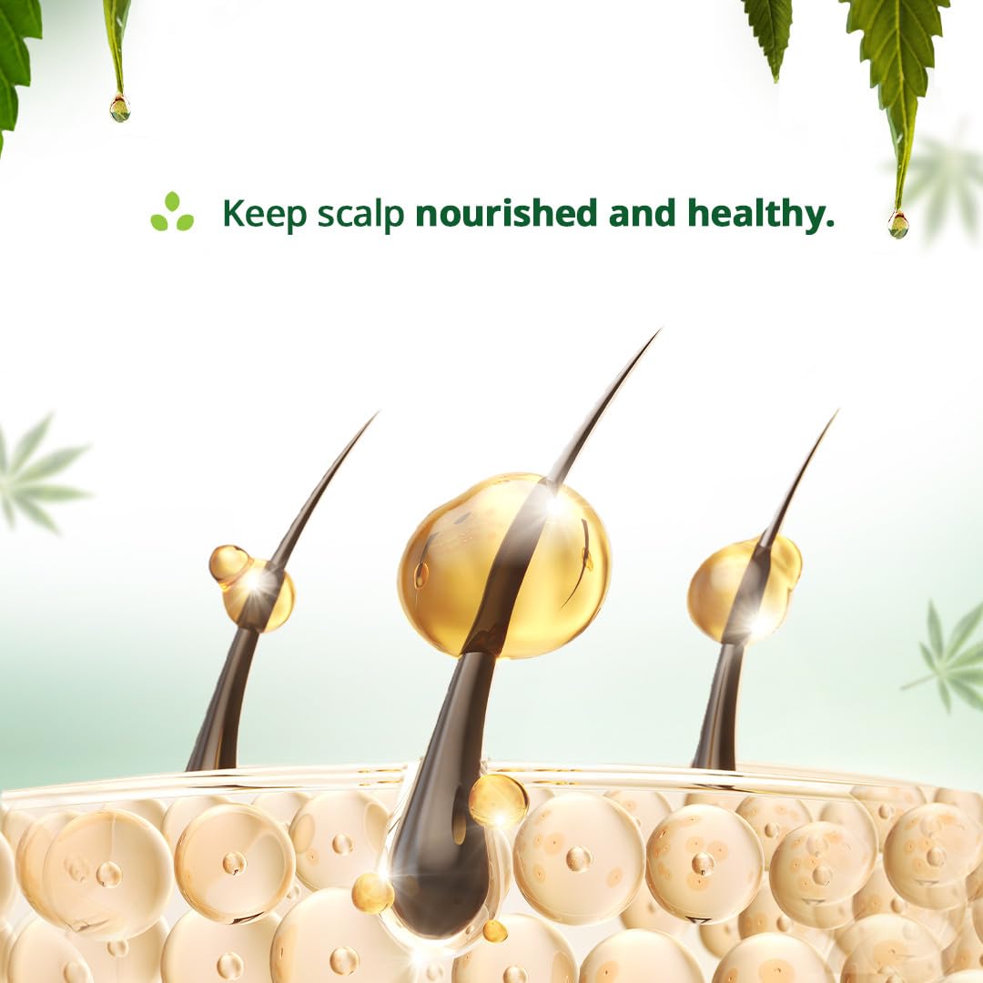 Hampa Hemp Bhringraj Hair Oil 100ml | Prevents Hairfall, Premature Greying, Dandruff | Promotes Hair Growth | Pure Himalayan Hemp, Bhringraj Oil, Essential Oils | Natural, No Toxins