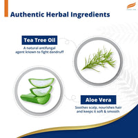 Himalaya Anti-Dandruff Tea Tree Shampoo, Removes up to 100% Dandruff, Soothes Scalp & Nourishes Hair, with Tea Tree oil and Aloe Vera, for men and women, 340ml
