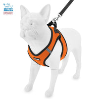 Voyager Step-in Air All Weather Mesh Harness and Reflective Dog 5 ft Leash Combo with Neoprene Handle, for Small, Medium and Large Breed Puppies by Best Pet Supplies - Orange/Black Trim, Medium Harness Leash Bundle (Orange/Black Trim) M (Chest: 16 - 18
