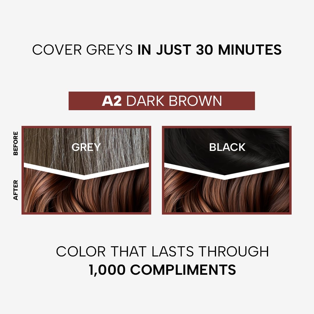 Berina Professional | Permanent Hair Color Cream | 60gm | A02 Dark Brown | Long Lasting Color