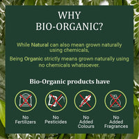 INDUS VALLEY Organic Hibiscus Powder For Hair Care (Hibiscus + Brahmi + Tulsi Powder) -100g *3= 300g