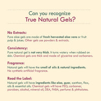 Nat Habit Active Face Gel, Beetroot Tomato Vit-A For Dry Skin Care & Supple Youth Defence With Cooling, Soothing, SunBurn Healing & UV Protection, 50gm