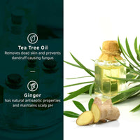USTRAA Hair Growth Vitalizer 100ml – Clinically Tested | Hair Oil With Redensyl, Saw Palmetto, Vitamins & Anti-Dandruff Shampoo 250ml - With Climbazole, Ginger & Tea Tree Oil, No Sulphates