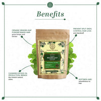 KHADI NATURAL Brahmi Leaf Organic Powder Pack of 2 (2x100gm) 200gm