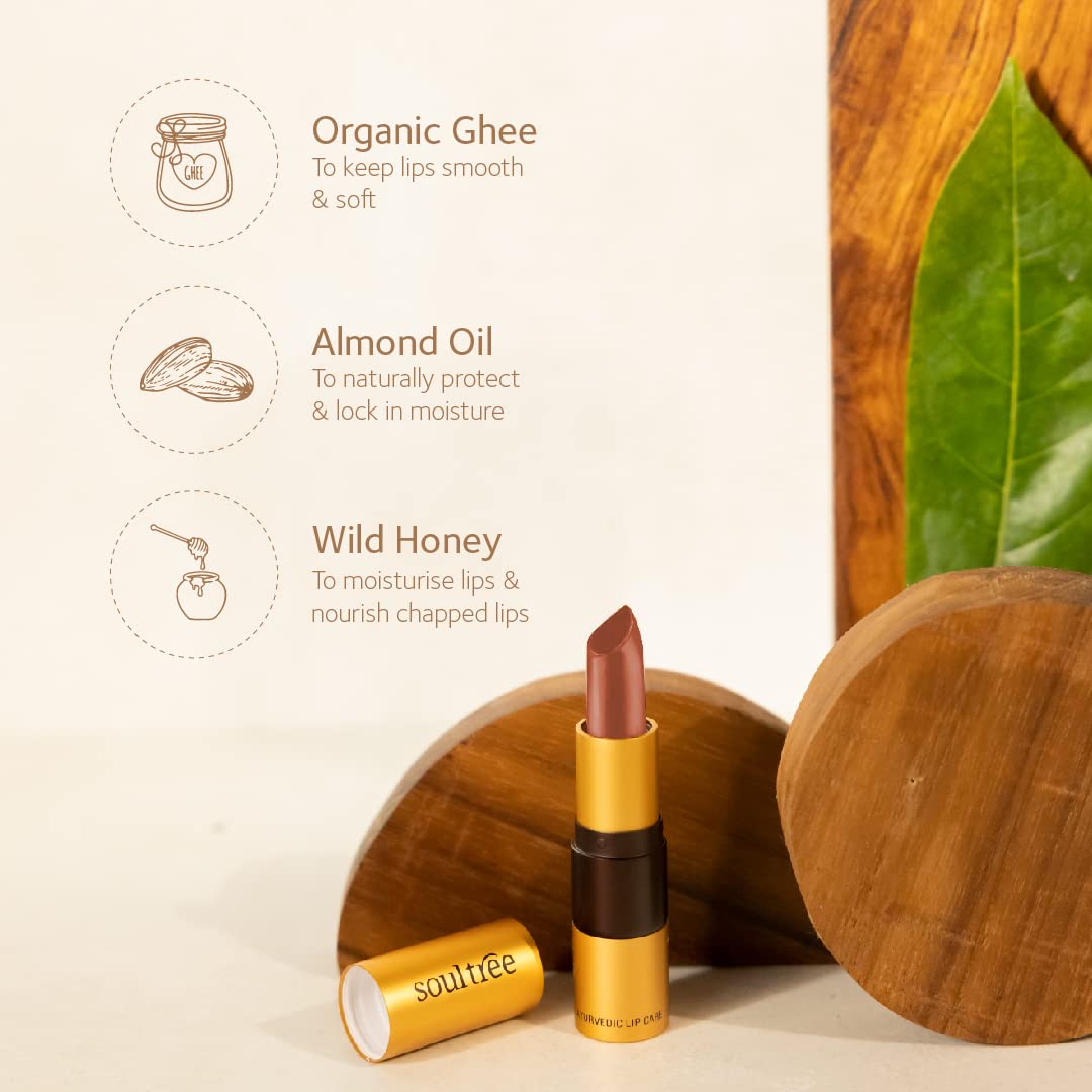 SoulTree Ayurvedic Lipstick - Cantaloupe 817, 4gm | Creamy Texture | Enriched with Organic Ghee & Almond Oil | Moistured & Nourished Lips | 4gm