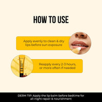 Dr Sheth's Kesar & Kojic Acid Lip Balm | Reduces Lip Pigmentation | SPF 50+ PA+++| 24H Moisturization|Non Sticky | Lightweight | For Dark, Dry, Flaky Lips | Natural Oils & Butters | All Genders | 10g