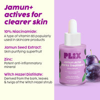 PLIX THE PLANT FIX Jamun Cleanser & 10% Niacinamide Acid Serum With Smoothie Moisturizer Combo l Detoxifies The Skin l Reduces Acne Marks l Fades Blemishes l All Skin Types