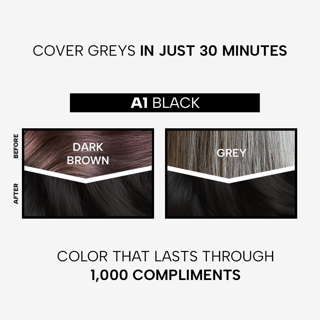 Berina Professional | Permanent Hair Color Cream | 60gm | A01 Black | Long Lasting Color