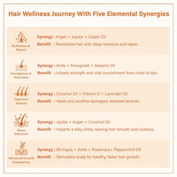 Singular Nourishine Hair Oil for Restores Hydration & Revitalizes Damaged Hair | Pure & Natural Cold Pressed Oil Infused with Nature's Best Coconut, Argan, Bhringraj, Amla, Jojoba Oil with Vitamin E | Ideal for Dry, Damaged & Chemically Treated Hair | 400