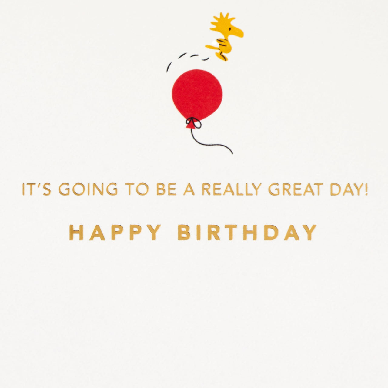 Hallmark Signature Peanuts Birthday Card (Charlie Brown and Friends) Charlie Brown and Friends