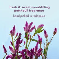 Love Beauty & Planet Onion, BlackSeed & Patchouli Hairfall Control Sulfate Free Shampoo + Conditioner Combo, 400 ml