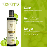Khadi Natural Pure Amla Hair Oil | Paraben & Mineral Oil Free | Nourishing Formula for Healthy, Strong Hair | Enhances Shine & Reduces Hair Fall- 210 ml