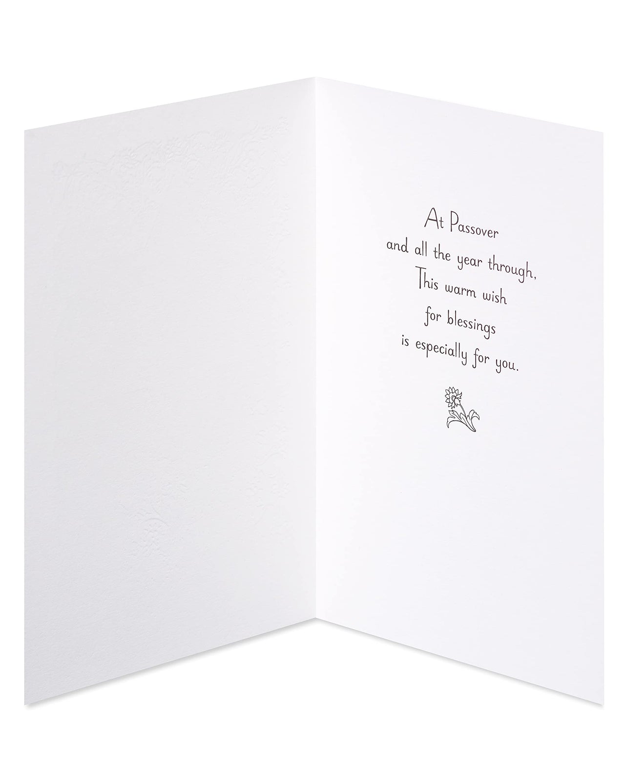 American Greetings Passover Cards, Warm Wish for Blessings (6-Count)