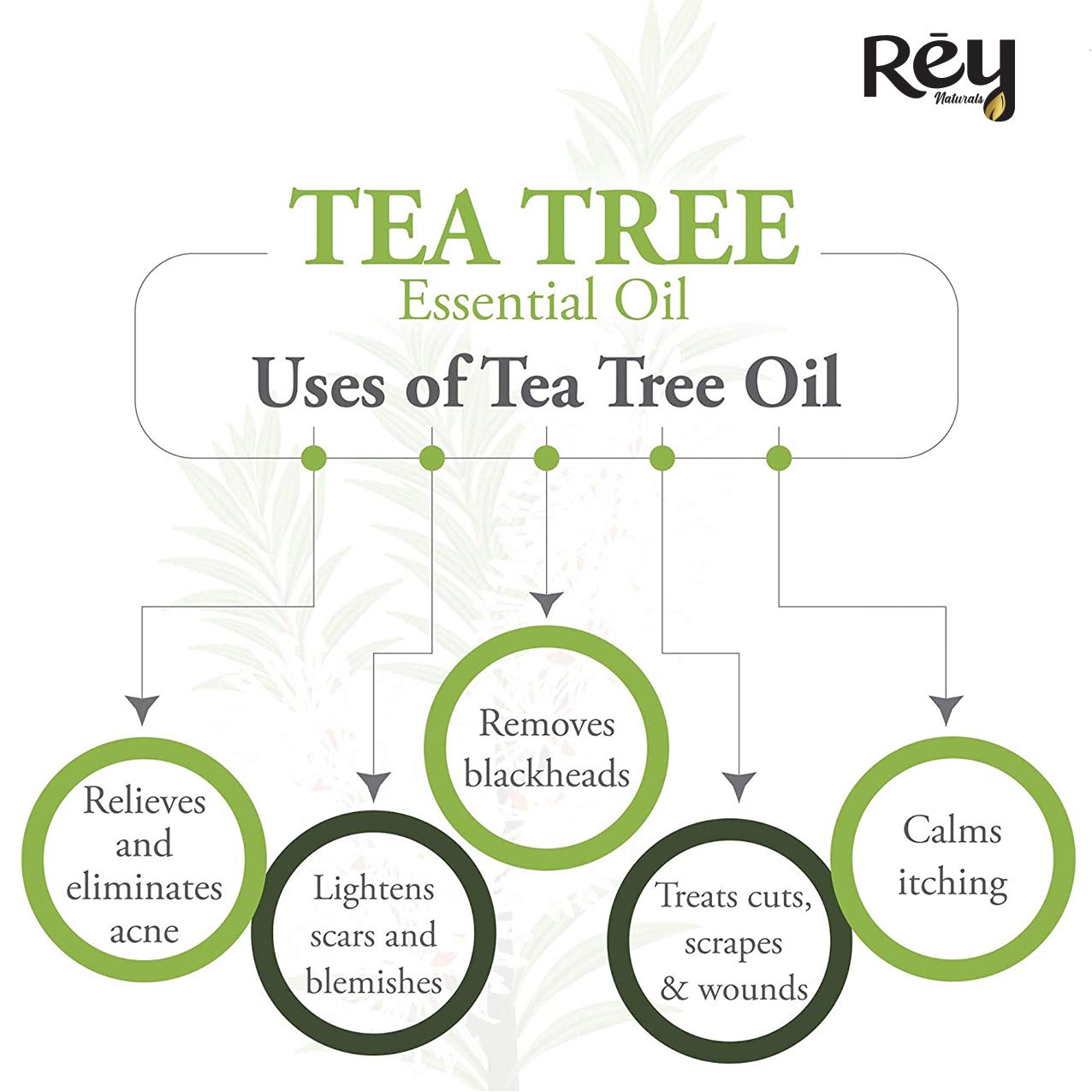 Rey Naturals Tea Tree Oil & Rosemary Oil For Hair Growth & Dandruff Control | Pure Essential Oil For Hair, Face & Skin Care | For All Skin & Hair Types - 15ML*2