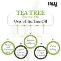 Rey Naturals Tea Tree Oil & Rosemary Oil For Hair Growth & Dandruff Control | Pure Essential Oil For Hair, Face & Skin Care | For All Skin & Hair Types - 15ML*2