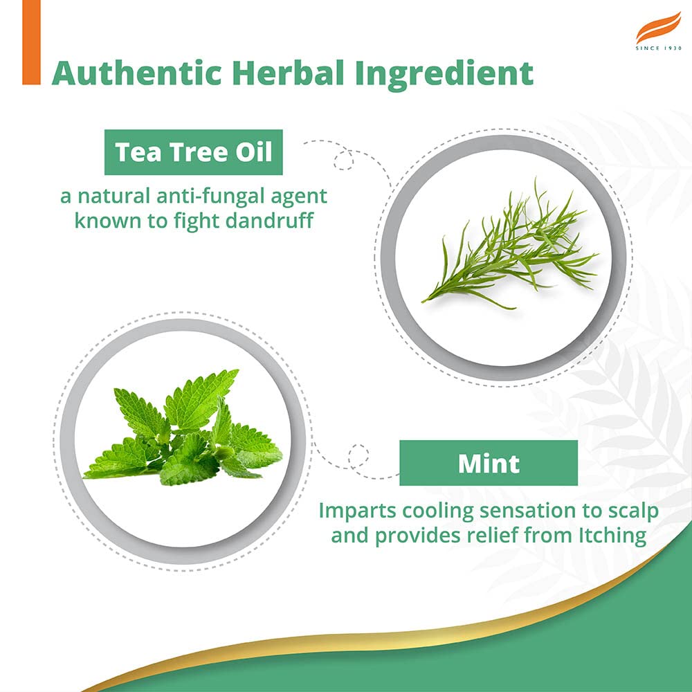 Himalaya Anti-Dandruff Cooling Mint Shampoo | Fights Dandruff | Soothes Scalp & Revives Hair | Enriched with Tea Tree Oil & Mint | For Women & Men | 200ml