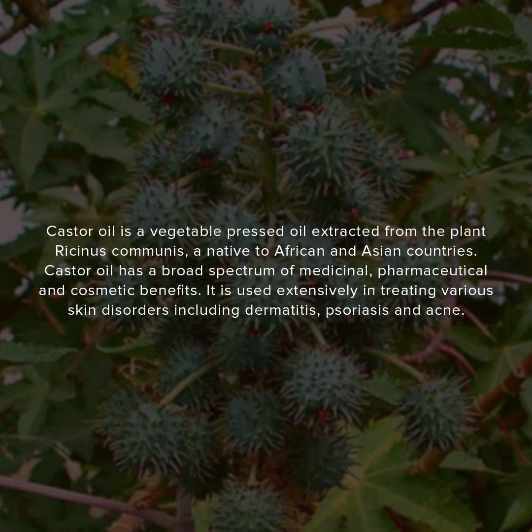 Khadi Natural Cold Pressed Castor Oil | Castor Oil for Healthy Hair | Cold Pressed Oil for Skin & Hair | Oil for Healthy Hair | Mineral Oil & Silicone-Free | Suitable for All Skin & Hair Types| 210 ml