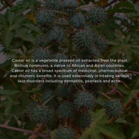 Khadi Natural Cold Pressed Castor Oil | Castor Oil for Healthy Hair | Cold Pressed Oil for Skin & Hair | Oil for Healthy Hair | Mineral Oil & Silicone-Free | Suitable for All Skin & Hair Types| 210 ml