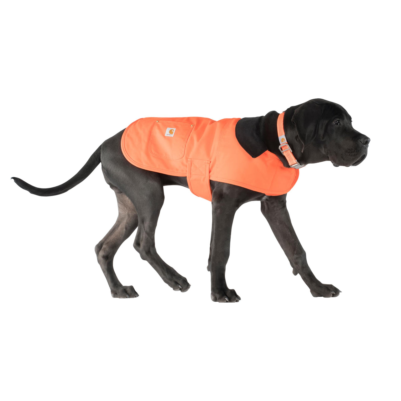 Carhartt Firm Duck Insulated Dog Chore Coat Hunter Orange/Brass LG Large