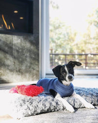 Gooby Stretch Fleece Vest Dog Sweater - Indigo Blue, X-Large - Warm Pullover Fleece Dog Jacket - Winter Dog Clothes for Small Dogs Boy - Dog Sweaters for Small Dogs to Dog Sweaters for Large Dogs X-Large Length (16.5