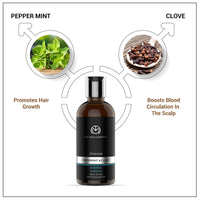 The Man Company Charcoal Care Trio Gift Set| Charcoal Shampoo 250ml, Charcoal Face Wash 100ml, Charcoal Body Wash 250ml | Hair Growth, Detox Skin, Removes Toxins, Antioxidant