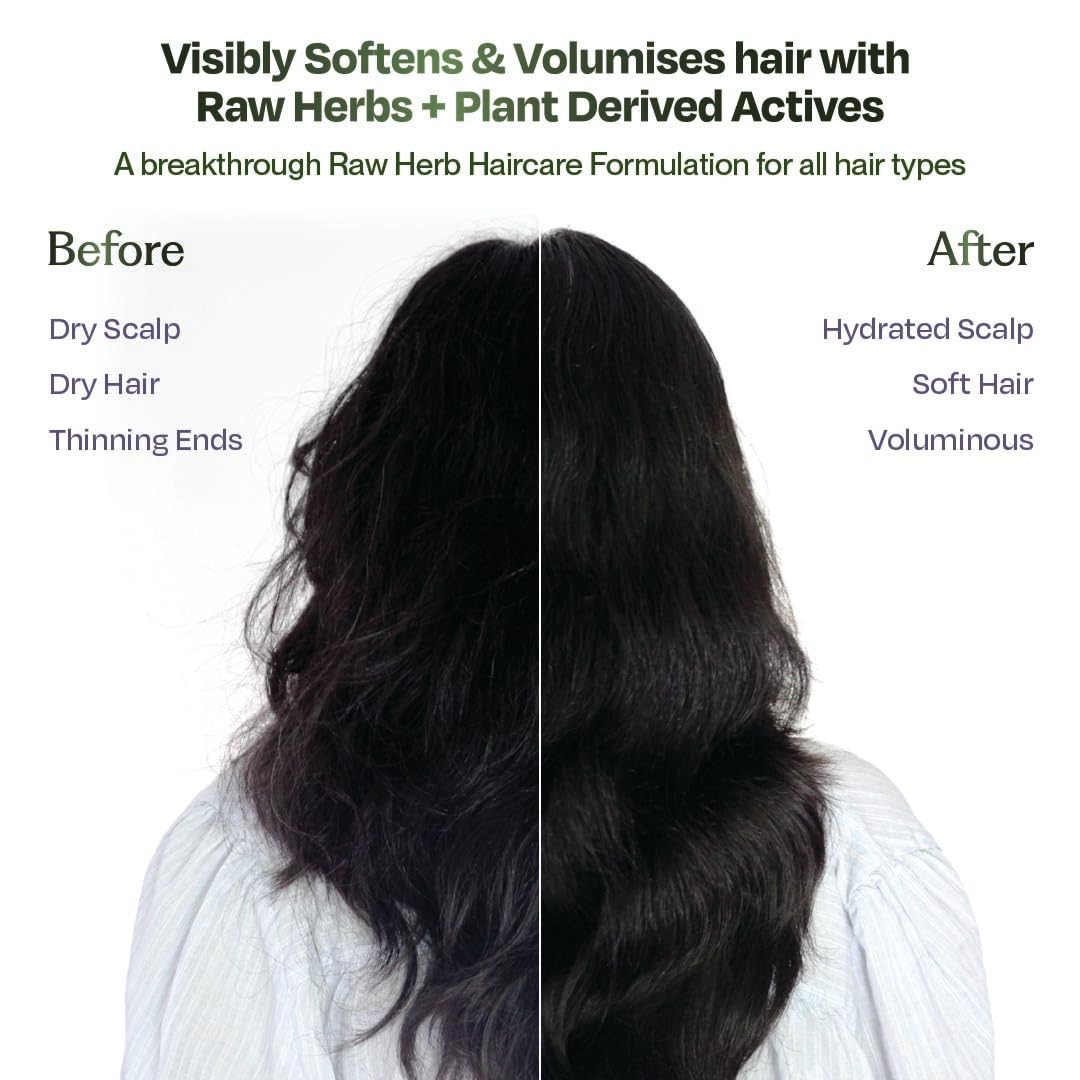 Sacred Grove Gentle Hair Shampoo | For Volume & Bounce | 3 Raw Herbs and 6 plant-derived actives | For Rough, Dry, Dull Hair | Sulphate & Paraben free | 250ml