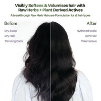 Sacred Grove Gentle Hair Shampoo | For Volume & Bounce | 3 Raw Herbs and 6 plant-derived actives | For Rough, Dry, Dull Hair | Sulphate & Paraben free | 250ml