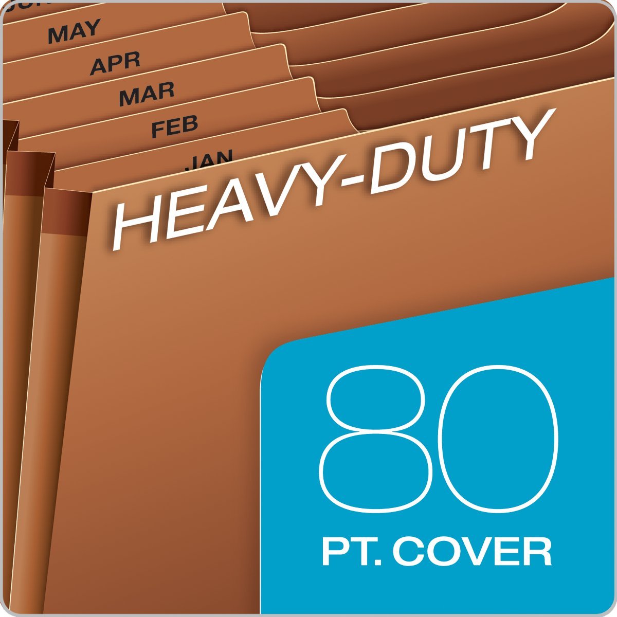 Globe Weis /Pendaflex Heavy Duty Expanding File with Flap, 12 Monthly Pockets, 1/3 Cut Tabs, Brown, Letter Size (R117MLHD)