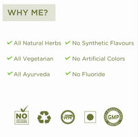 Vitro Fluoride Free Toothpaste with Meswak, Vajra danti and Neem Extract | Herbal toothpaste with extracts of 12 herbs for complete toothcare | Helps with Bad breath and Gum Problems