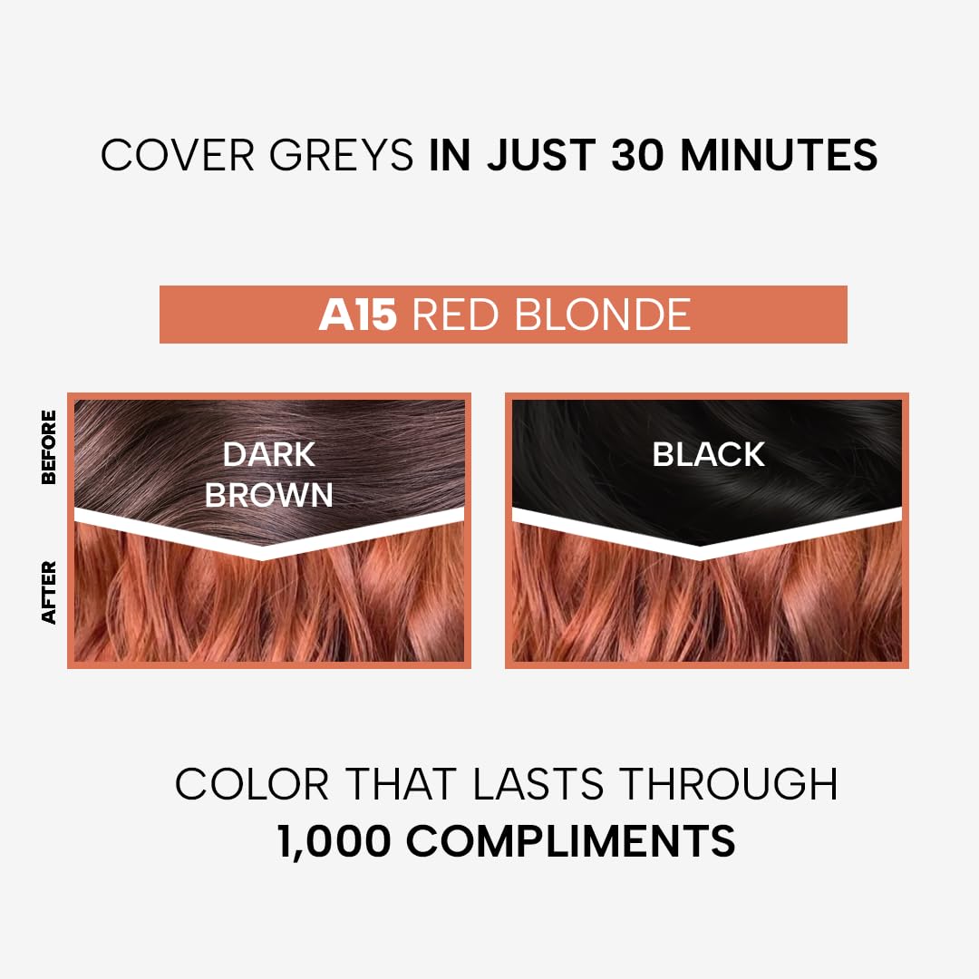 Berina Professional | Permanent Hair Color Cream | 60gm | A15 Red Blonde | Long Lasting Color