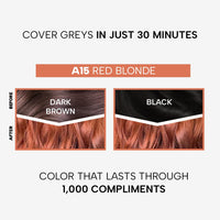 Berina Professional | Permanent Hair Color Cream | 60gm | A15 Red Blonde | Long Lasting Color