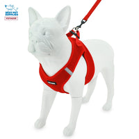 Voyager Step-in Air All Weather Mesh Harness and Reflective Dog 5 ft Leash Combo with Neoprene Handle, for Small, Medium and Large Breed Puppies by Best Pet Supplies - Set (Red), M (Chest: 16-18