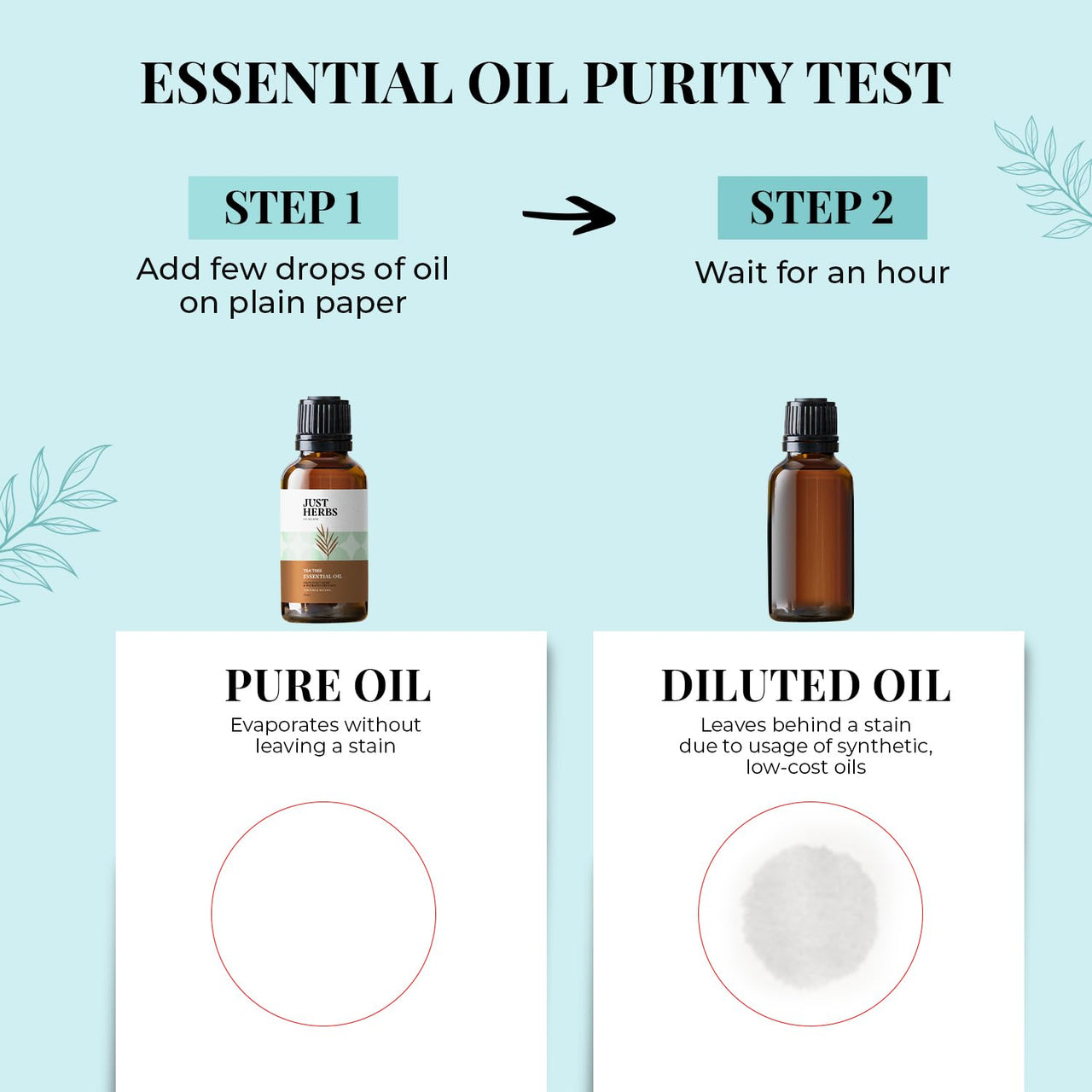 Just Herbs Tea Tree Steam 100% Pure Distilled Essential Oil for Hair | Skin | Fights Acne | Exfoliates Skin | Aromatherapy Relives Stress for Men and Women (10 ml)