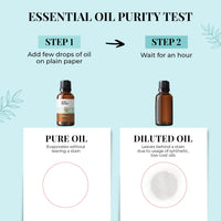 Just Herbs Tea Tree Steam 100% Pure Distilled Essential Oil for Hair | Skin | Fights Acne | Exfoliates Skin | Aromatherapy Relives Stress for Men and Women (10 ml)