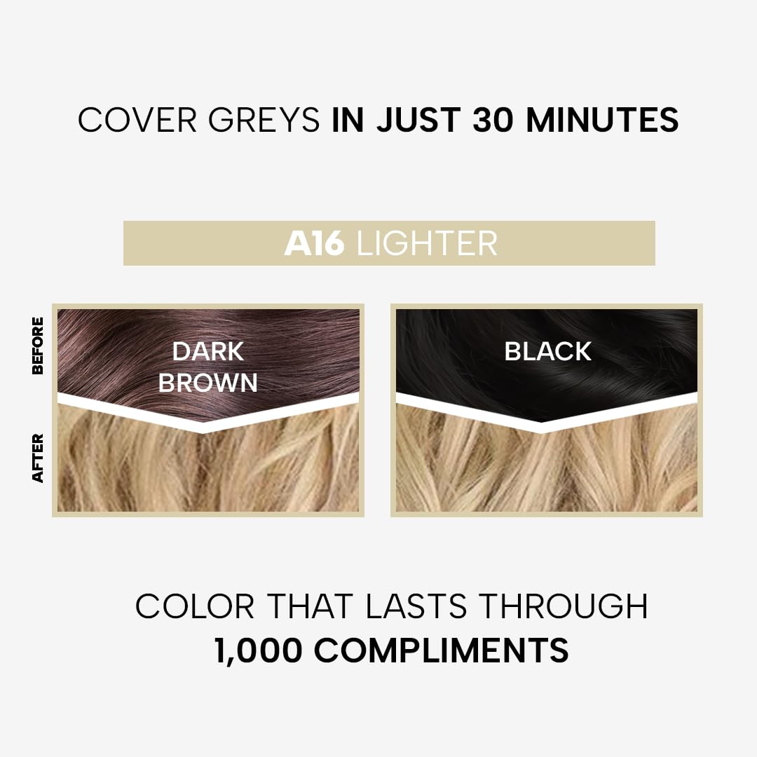 Berina Professional | Permanent Hair Color Cream | 60gm | A16 Lighter | Long Lasting Color
