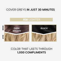 Berina Professional | Permanent Hair Color Cream | 60gm | A16 Lighter | Long Lasting Color
