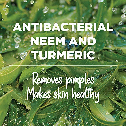 Himalaya Purifying Neem Face Wash, 400 Ml (Pack of 2)