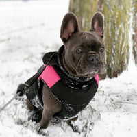 Gooby Padded Vest Dog Jacket - Pink, X-Large - Warm Zip Up Dog Vest Fleece Jacket with Dual D Ring Leash - Winter Water Resistant Small Dog Sweater - Dog Clothes for Small Dogs Boy and Medium Dogs