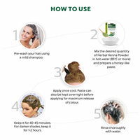 Indus Valley Bio Organic Herbal Henna Powder for Hair |Chemical-Free with Tulsi, Amla, Shikakai, Reetha, Fenugreek, Cassia & Bhringraj | Fortifies Hair Health | 200g (2 x 100g)