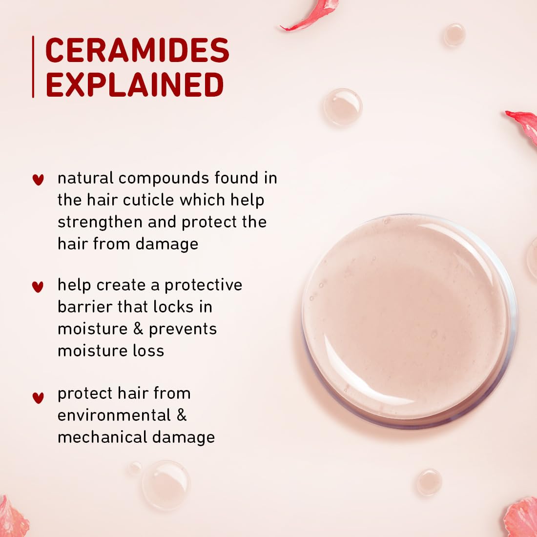 Plum Hibiscus & Ceramides Conditioner | Nourishing Formula with Shea Butter | Smoothens & Strengthens Hair | Prevents Split Ends | 100% Vegan & Cruelty-Free | 175g
