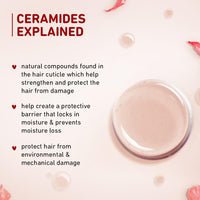 Plum Hibiscus & Ceramides Conditioner | Nourishing Formula with Shea Butter | Smoothens & Strengthens Hair | Prevents Split Ends | 100% Vegan & Cruelty-Free | 175g