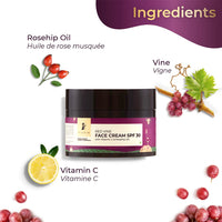 Pilgrim French Red Vine AM PM Face Care Kit, Red Vine Face Wash 100ml, Face Cream SPF 30 50gm, & Night Gel Creme 50gm, Anti-Ageing, De-Pigmentation, Skin Repair, All Skin Types, Men & Women