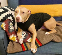 Gooby Stretch Fleece Vest Dog Sweater - Indigo Blue, Large - Warm Pullover Fleece Dog Jacket - Winter Dog Clothes for Small Dogs Boy - Dog Sweaters for Small Dogs to Dog Sweaters for Large Dogs Large Length (13.5