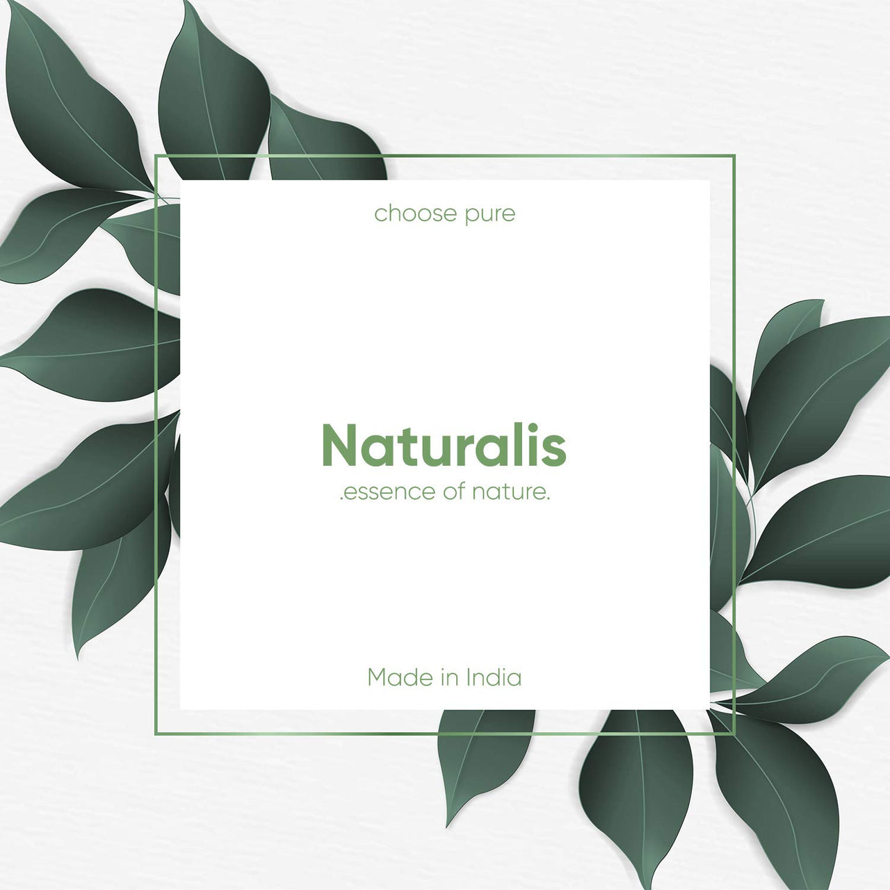 Naturalis Tea Tree Essential Oil - Tea Tree Oil for Hair, Face, Acne, Pimples and Scar - Pure and No Dilution Tea Tree Hair Oil - No Solvents - Ideal for Aromatherapy - 120ml