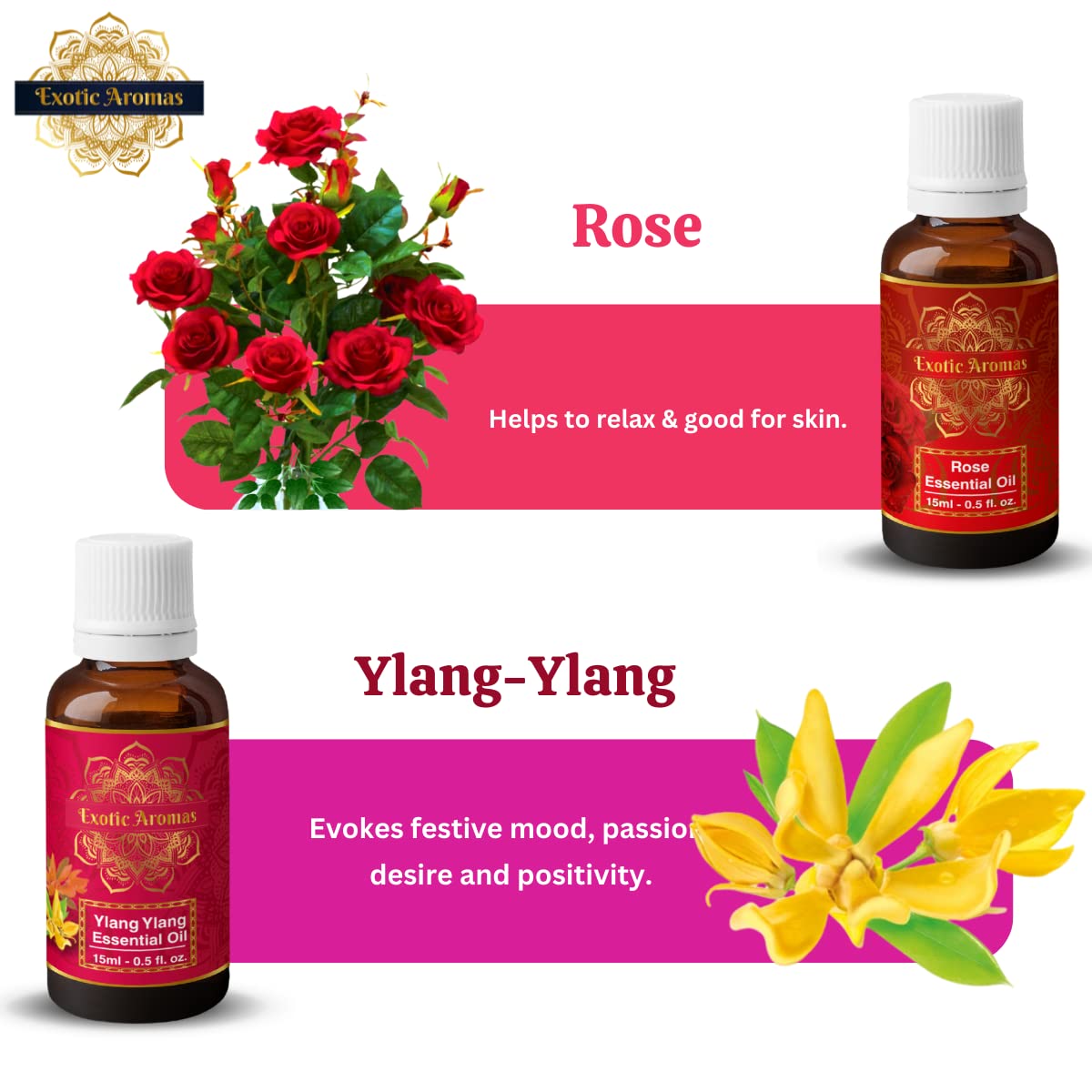 Exotic Aromas Essential Oil - Lavender Oil, Sandalwood Oil, Jasmine Oil, Rose Oil, Ylang Ylang Oil (Pack of 5)
