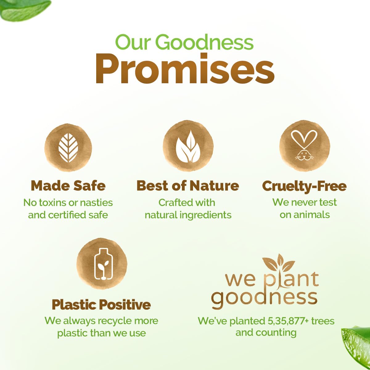 Mamaearth Aloe Vera Moisturizing Body Wash with Aloe Vera & Calming Jasmine Scent For Soft & Soothed Skin - 275 ml |Intensely Moisturizes |Long Lasting Fragrance|Deeply Cleanses|Gentle |All Skin Types