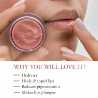 Just Herbs Ayurvedic Rose Lip Mask, Balm For Dark, Dry & Pigmented Lips - Vegan Lip Mask For 15gm & Just Herbs Tinted Lip Balm 4 g (Beetroot) Combo