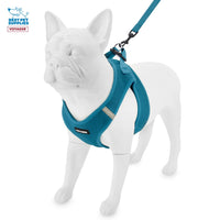 Voyager Step-in Air All Weather Mesh Harness and Reflective Dog 5 ft Leash Combo with Neoprene Handle, for Small, Medium and Large Breed Puppies by Best Pet Supplies - Set (Turquoise), XL Harness Leash Set (Turquoise) XL (Chest: 20.5 - 23