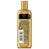 Indulekha Bringha Ayurvedic Hair Oil 50 ml, Hair Fall Control and Hair Growth with Bringharaj & Coconut Oil - Comb Applicator Bottle for Men & Women & Ayurvedic Shampoo 100 ml
